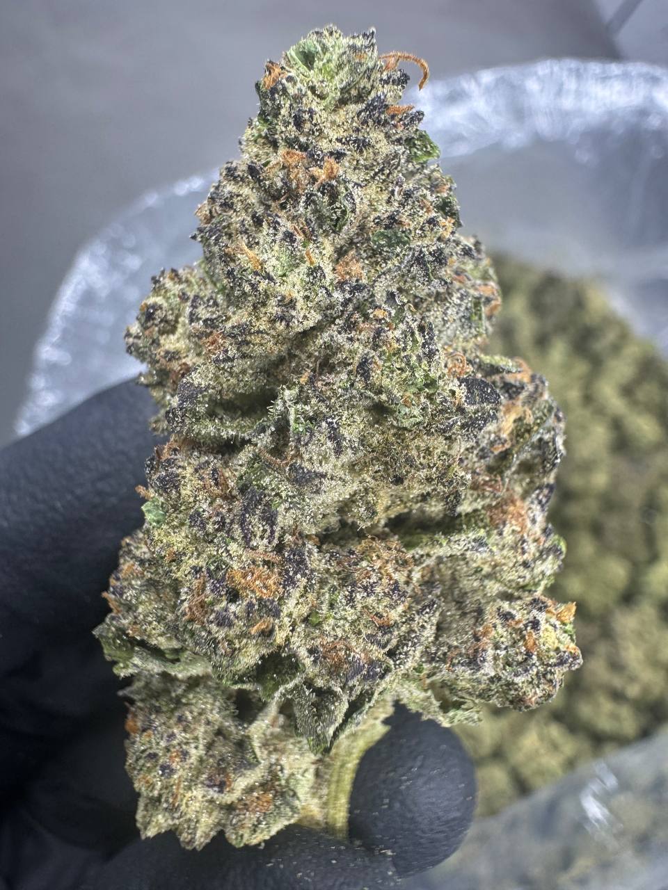 Cereal Milk THCA Flower | 27.46% AAA