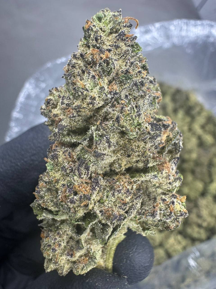 Cereal Milk THCA Flower | 27.46% AAA