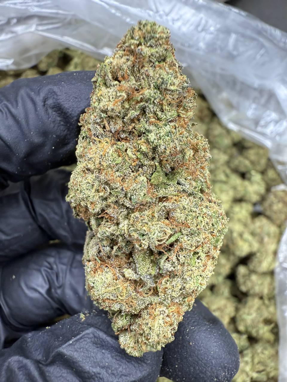 Ice Cream Cake THCA Flower | 32.16% TOP SHELF