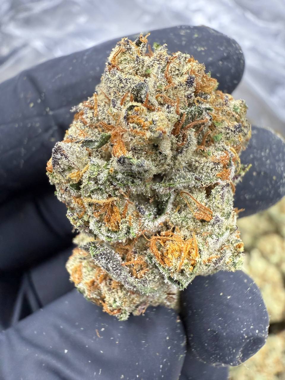 Triple Cake THCA Flower | 27.55% AA INDOOR