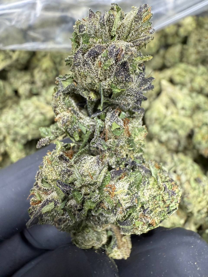 Gelato 41 THCA Flower | 33.45% TOP SHELF
