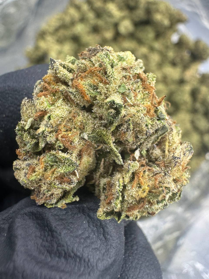 Pineapple Express THCA Flower | 25.15% CLASSIC RESERVE