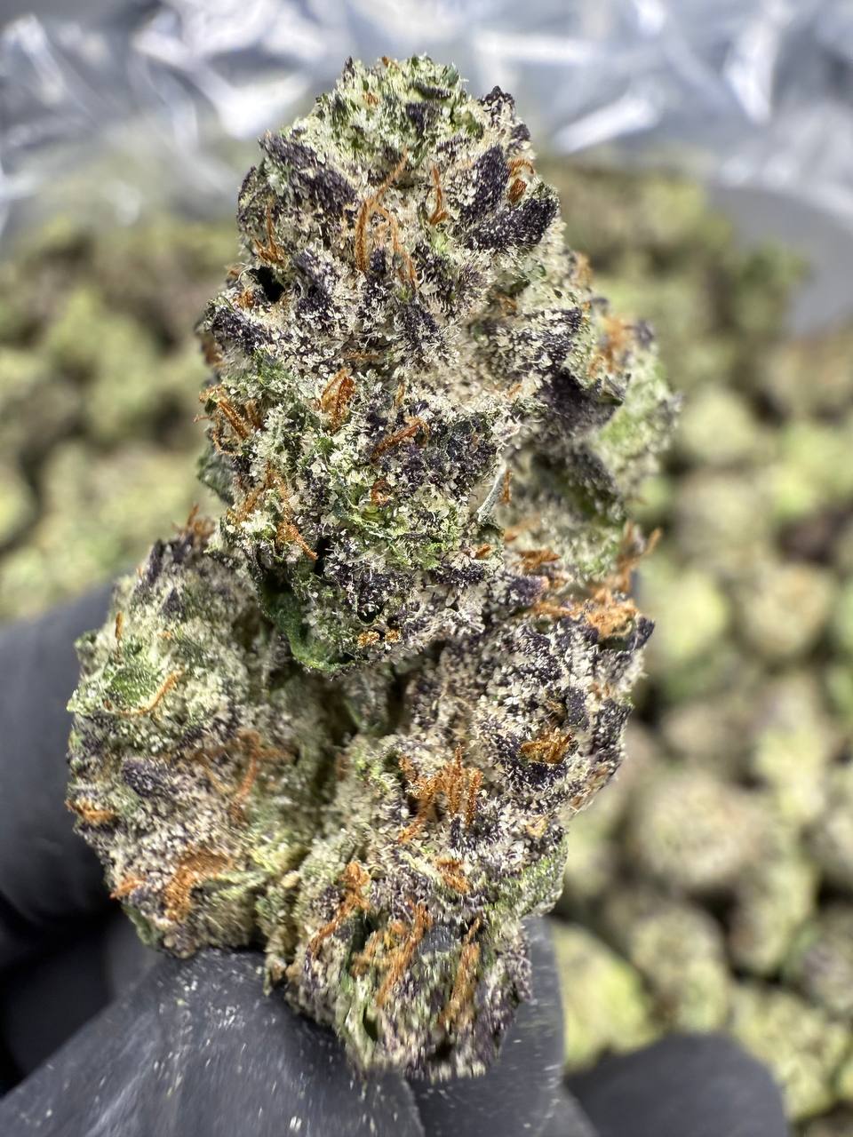 Candy Gas THCA Flower | 31.65% EXOTIC INDOOR