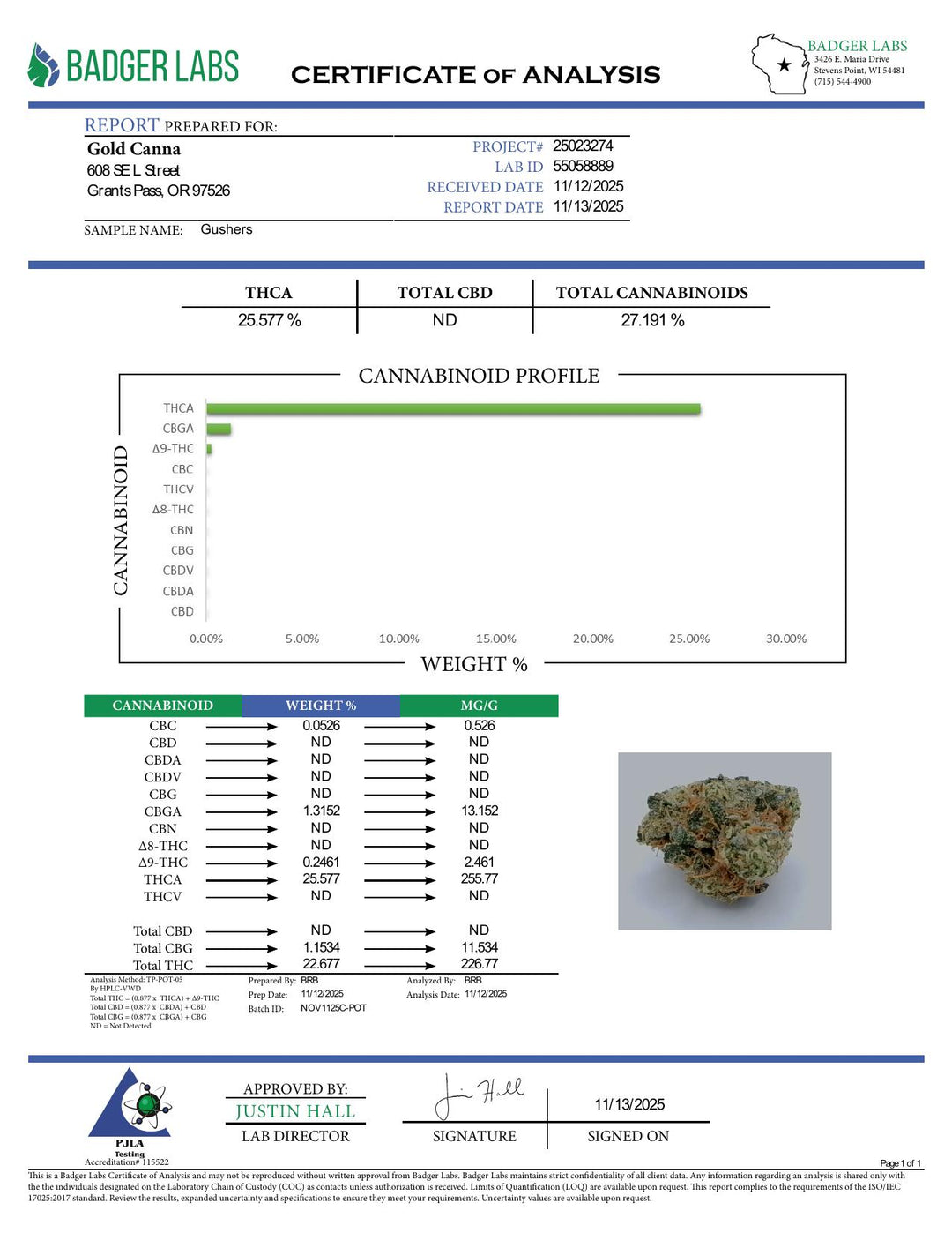 COA PDF (converted to JPEG)