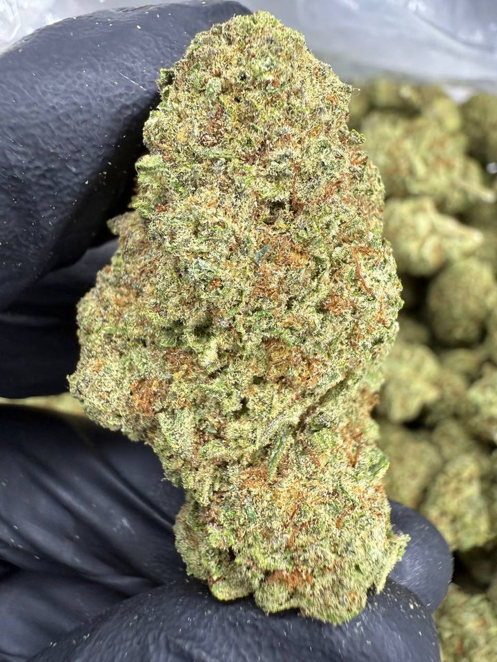 Cinderella 99 THCA Flower | 26.41% TOP SHELF