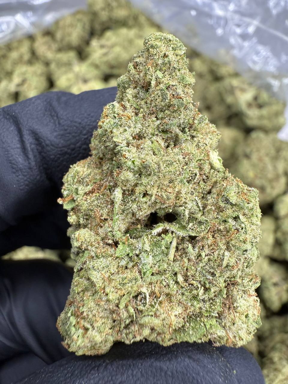 Animal Face THCA Flower | 26.06% TOP SHELF