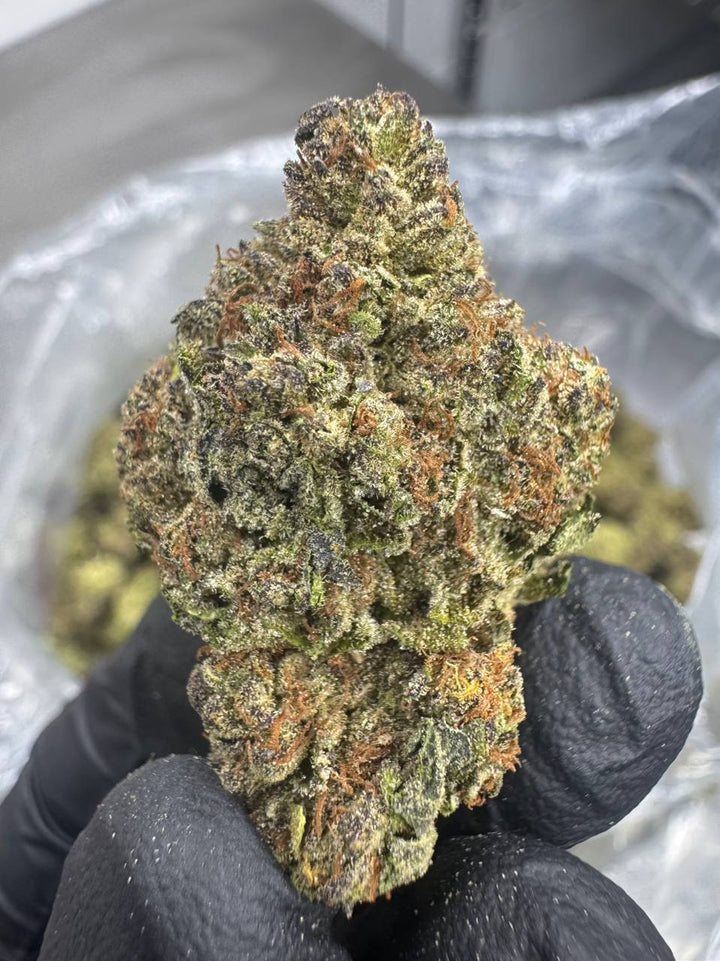 Wedding Cake THCA Flower | 28.43% AAA