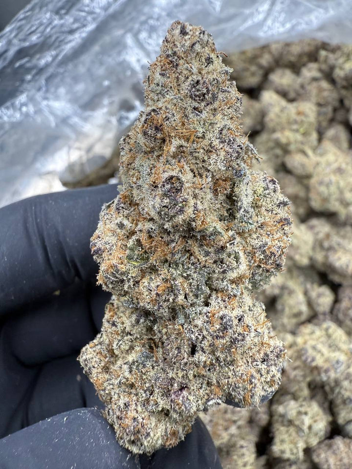 Sub Zero THCA Flower | 27.85% EXOTIC INDOOR