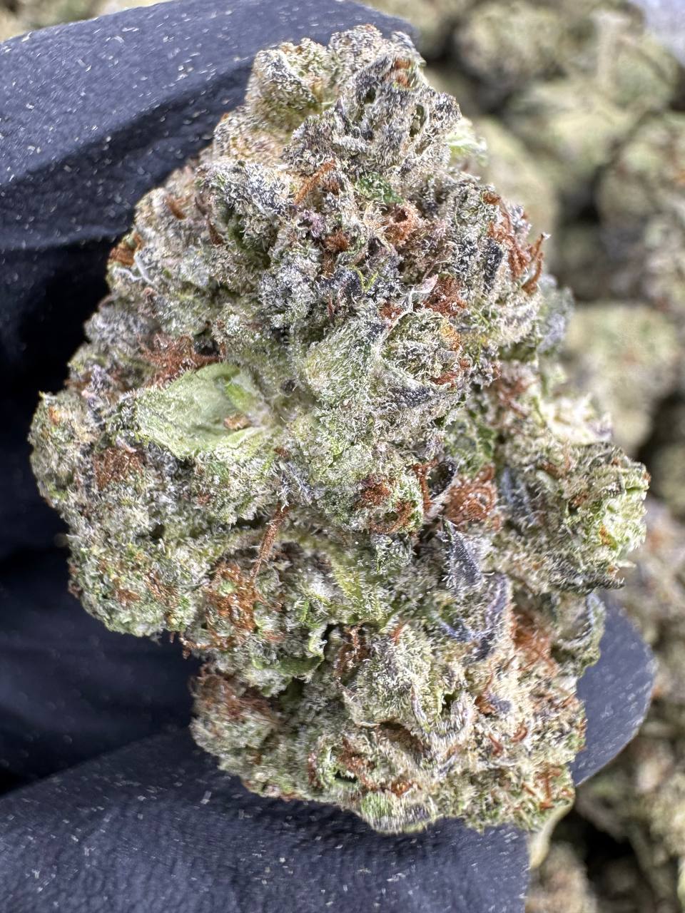 Cookies and Cream THCA Flower | 29.47% AAA