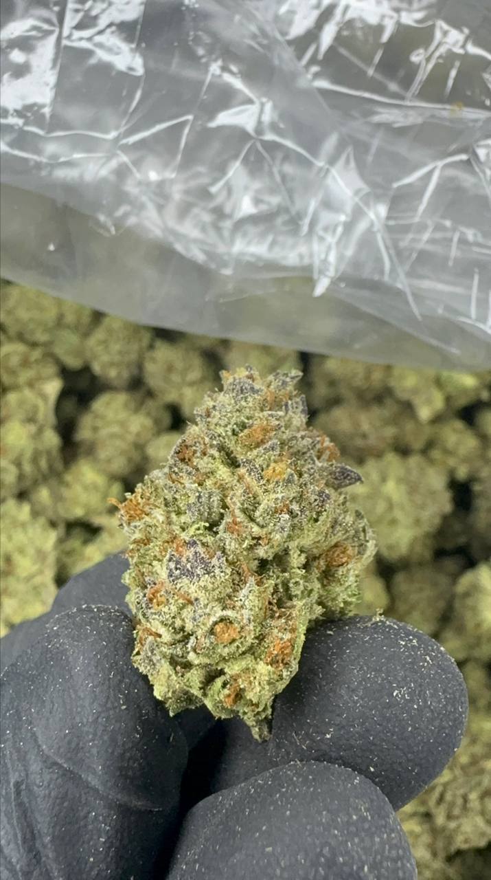 Runtz THCA Flower | 26.69% CLASSIC RESERVE