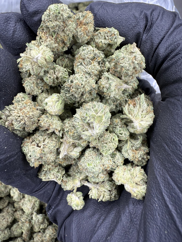 Blueberry Muffin THCA Flower | 34.06% AA INDOOR
