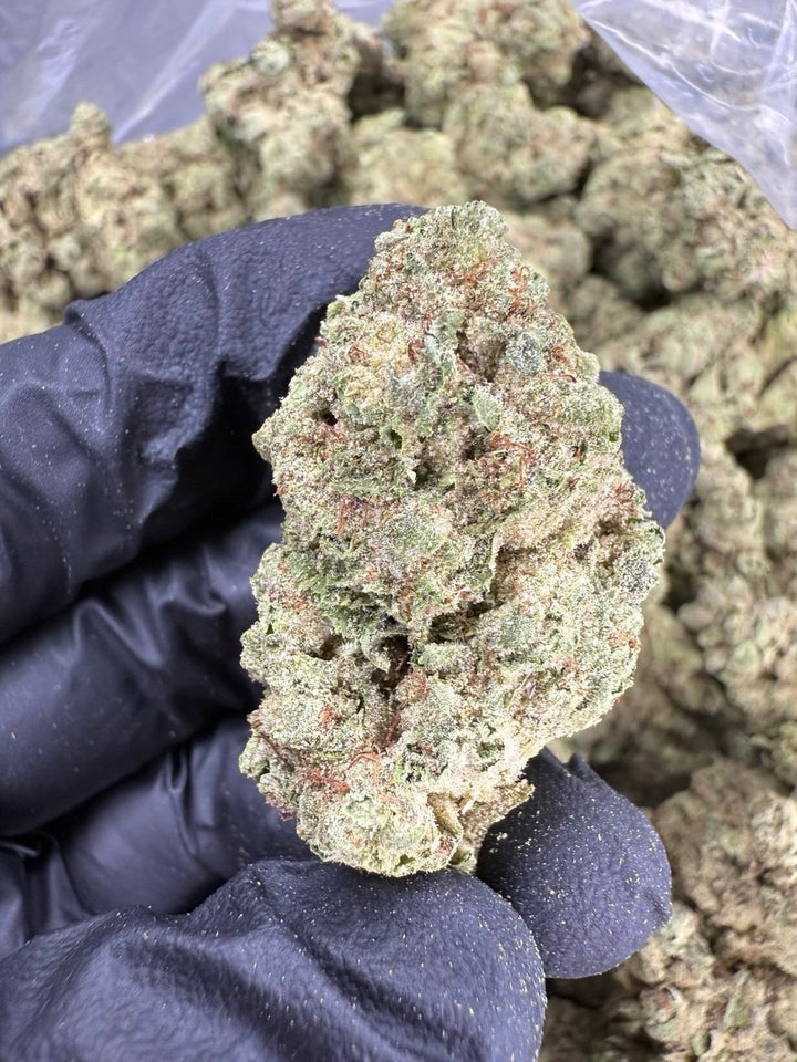 Gorilla Glue THCA Flower | 33.46% AAA