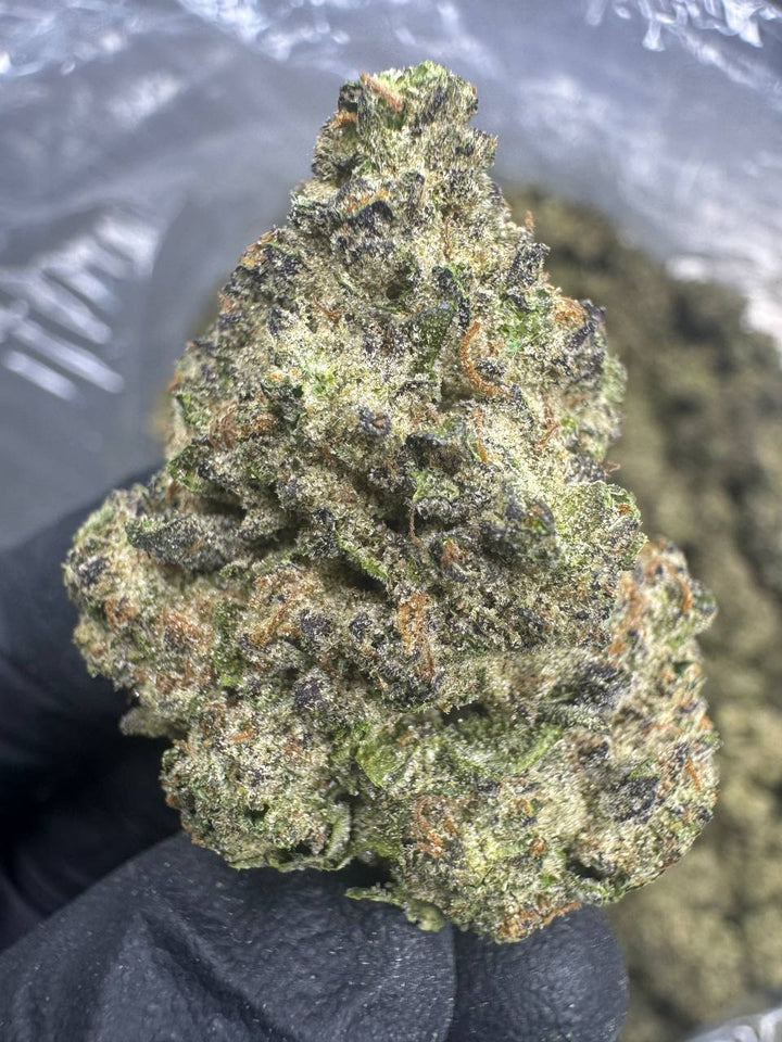 White Gelato THCA Flower | 28.63% AAA