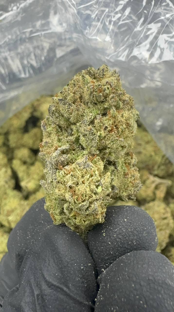 Cereal Milk THCA Flower | 27.39% CLASSIC RESERVE