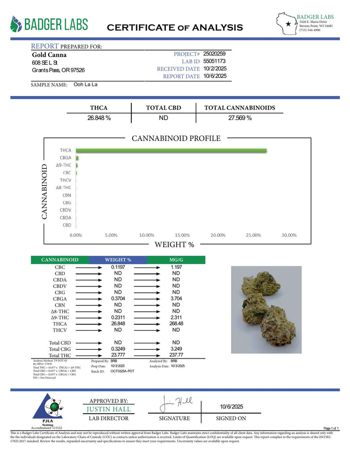COA PDF (converted to JPEG)