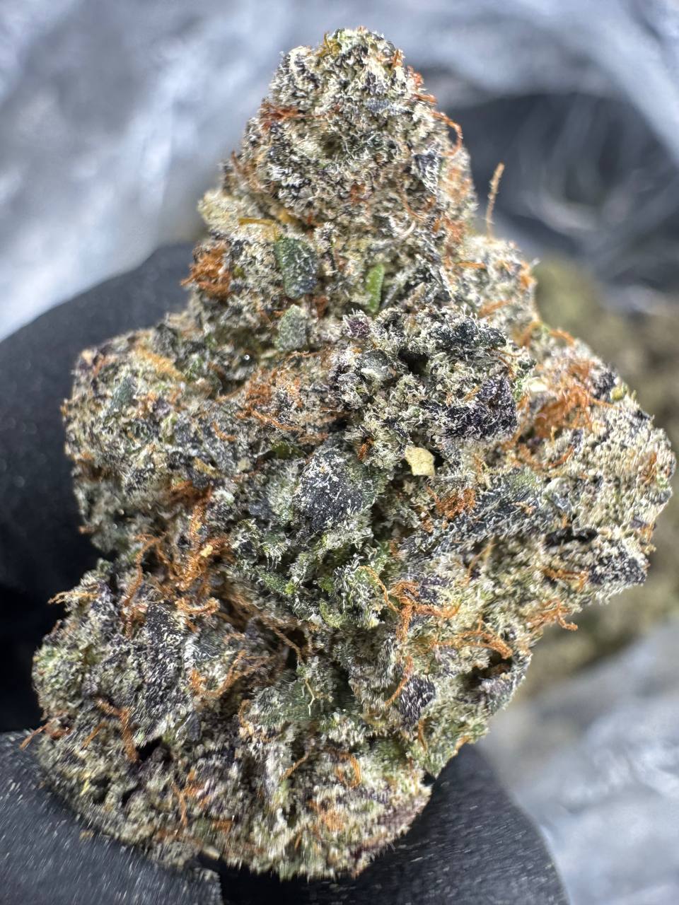 Lemon Cherry Gelato THCA Flower | 34.52% EXOTIC INDOOR