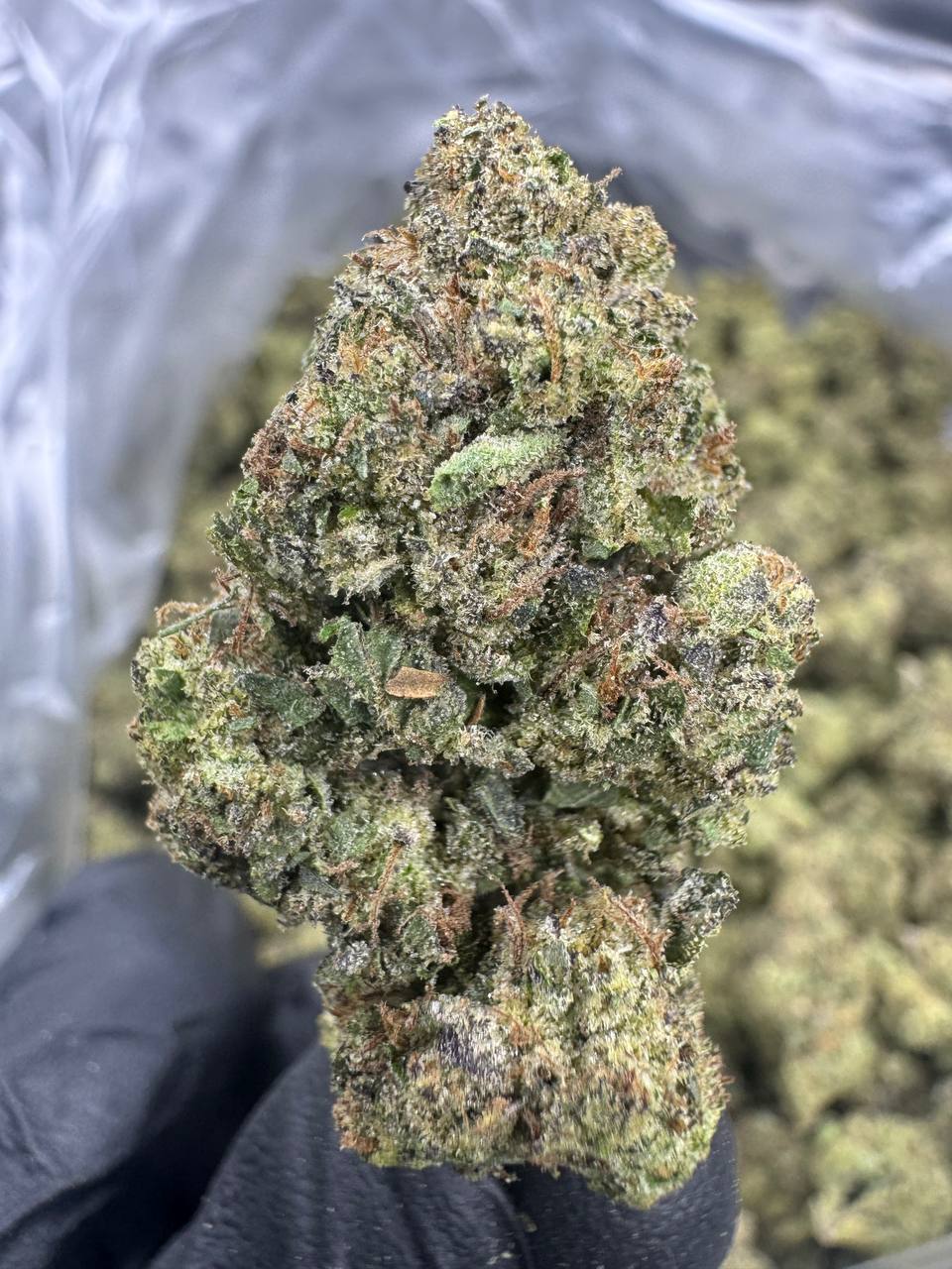 Candy Runtz THCA Flower | 27.38% TOP SHELF