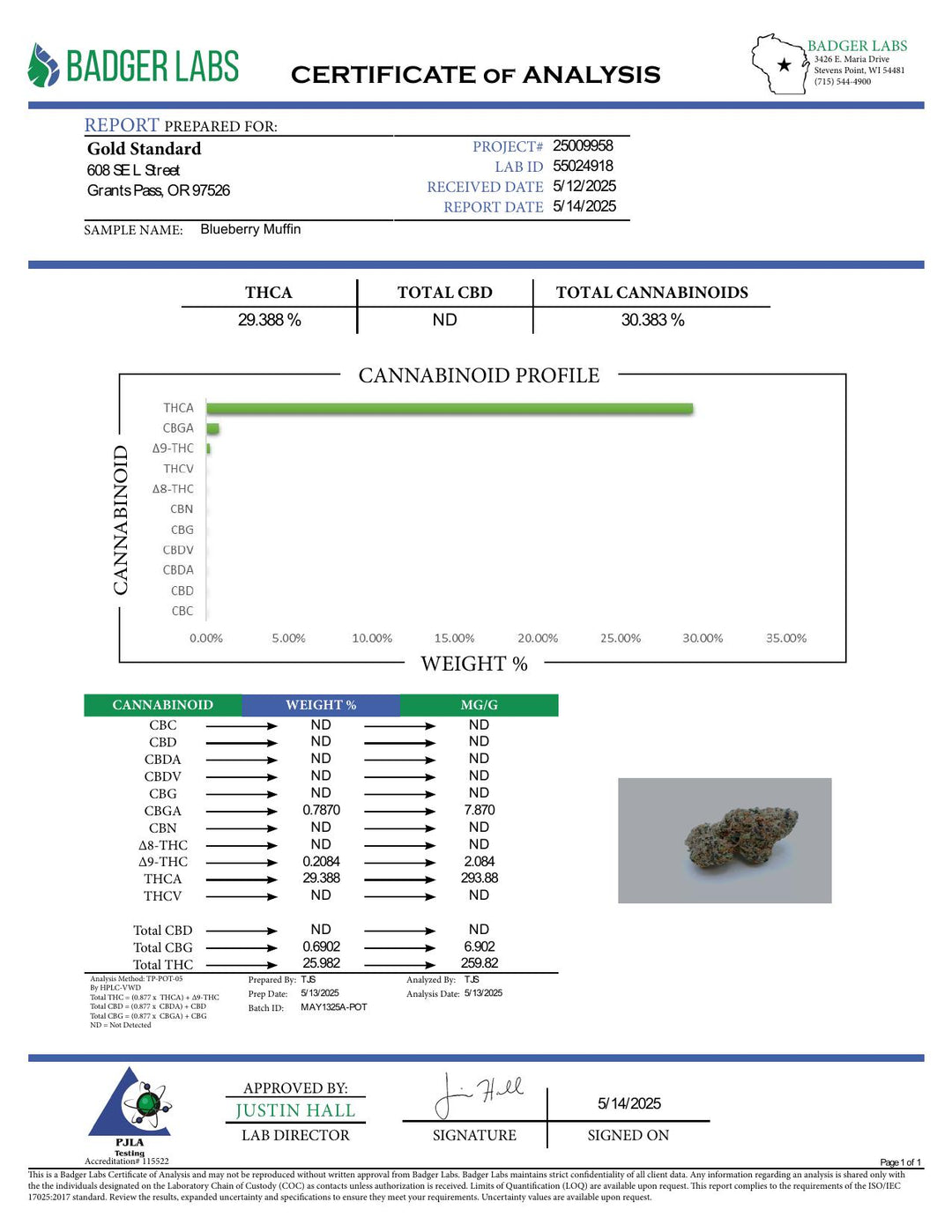 COA PDF (converted to JPEG)