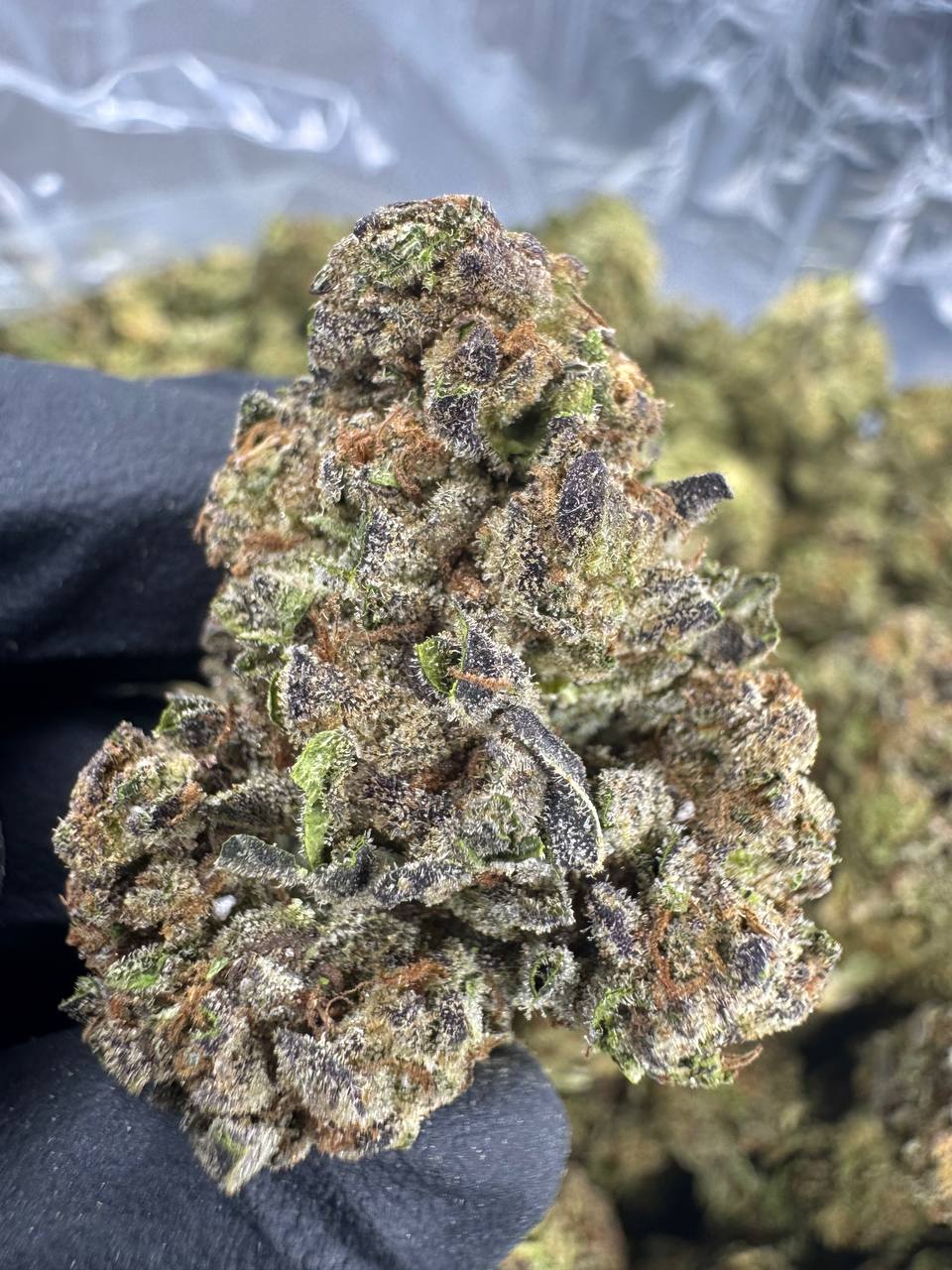 Cadillac Rainbow THCA Flower | 24.41% CLASSIC RESERVE