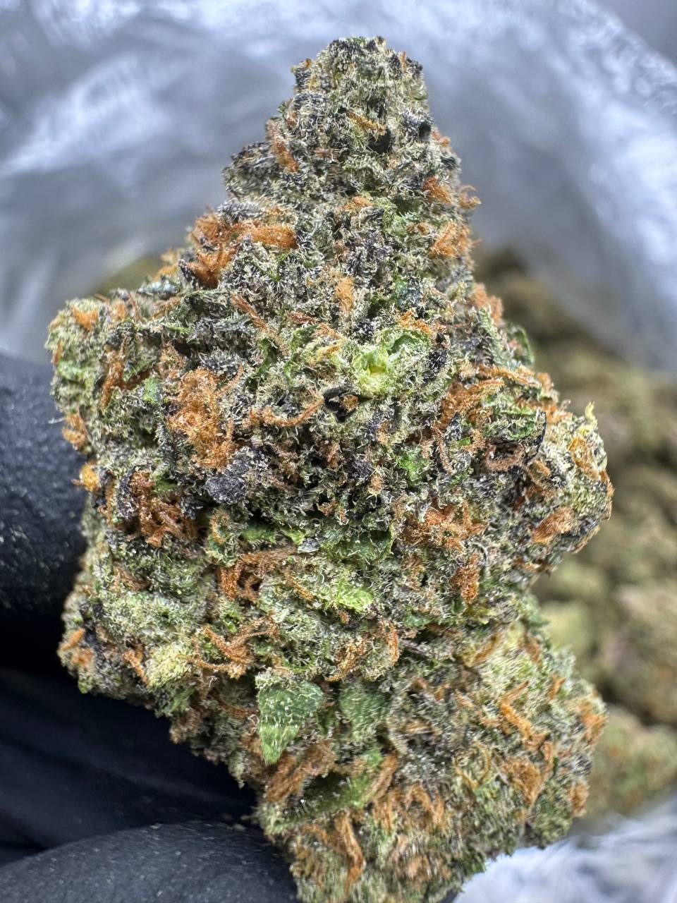 Zoap THCA Flower | 30.75% EXOTIC INDOOR