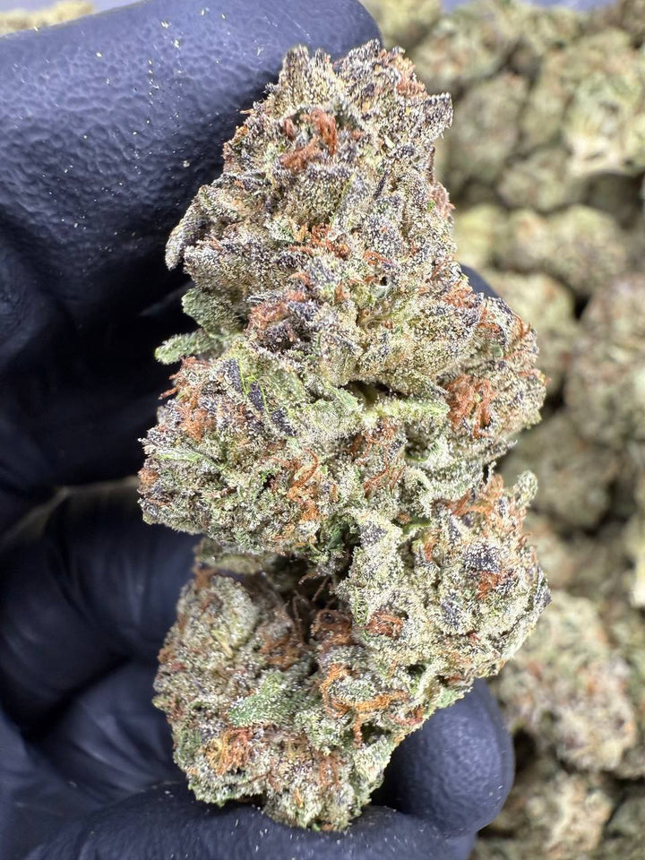 Cereal Milk THCA Flower | 27.03% TOP SHELF