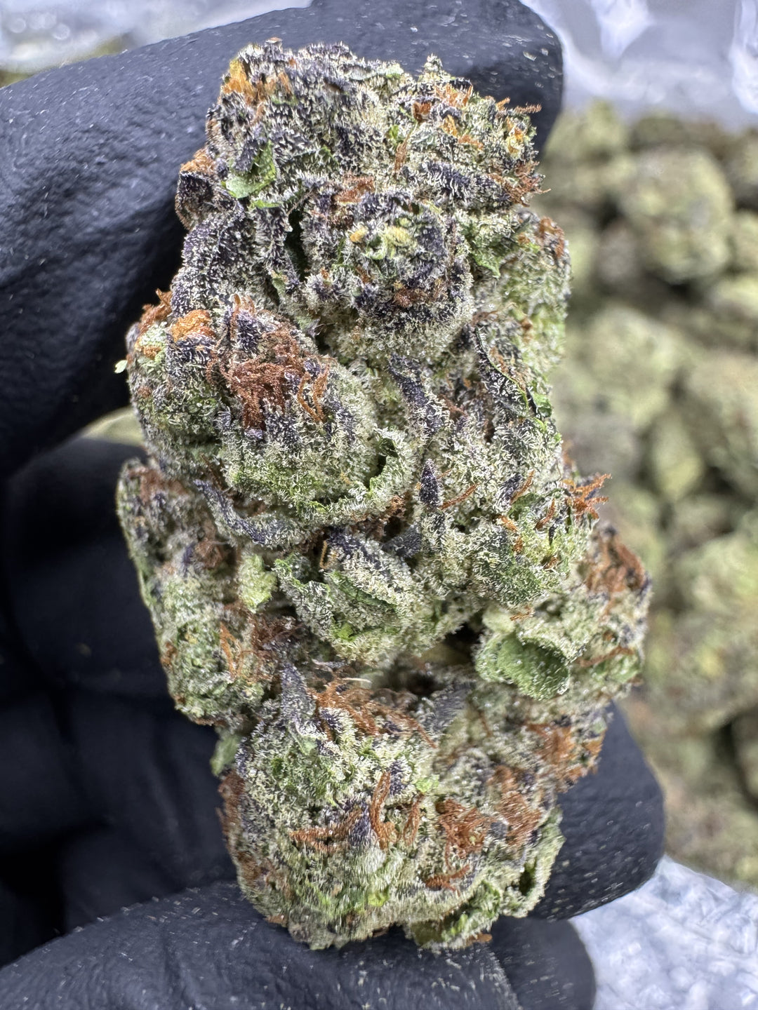 Ice Cream Cake THCA Flower | 32.16% TOP SHELF