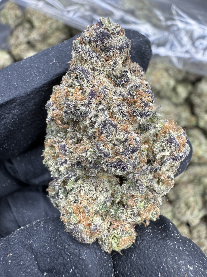 Jack Herer THCA Flower | 29.50% EXOTIC INDOOR