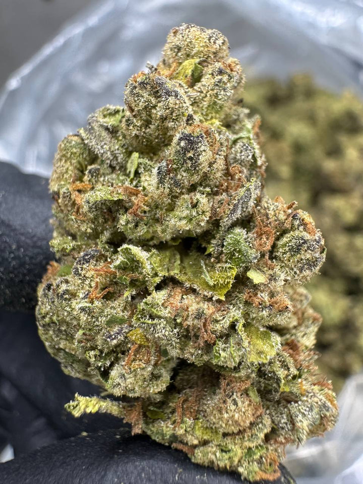 Lemon Cherry Gelato THCA Flower | 25.42% CLASSIC RESERVE