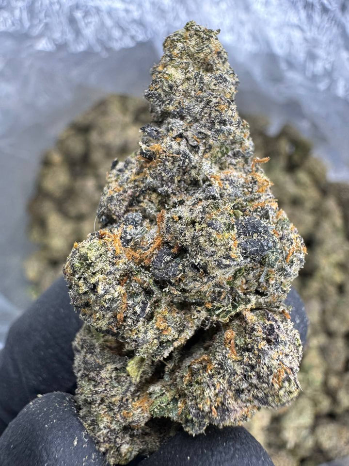 Permanent Marker THCA Flower | 32.06% EXOTIC INDOOR