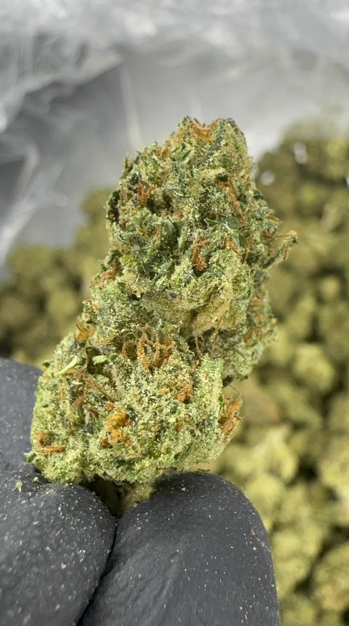 Zoap THCA Flower | 25.11% CLASSIC RESERVE
