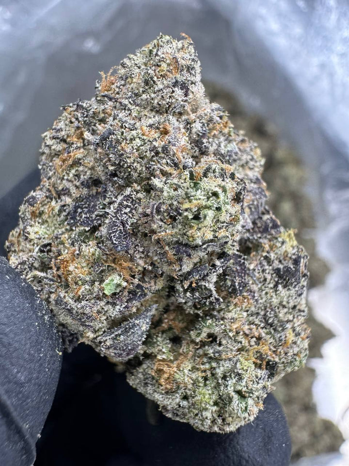 Super Runtz- NEW PRICE 🔥 THCA Flower | 30.08% EXOTIC INDOOR 🔥was $1600.00🔥