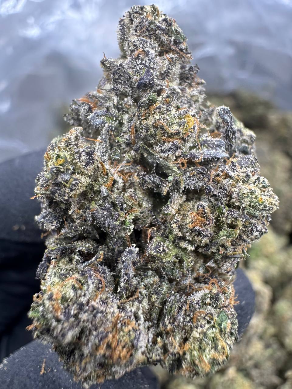 Cherry Pie Runtz THCA Flower | 30.14% EXOTIC INDOOR