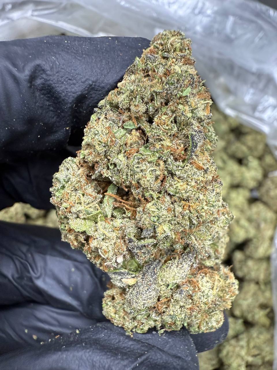 Ice Cream Cake THCA Flower | 32.16% TOP SHELF