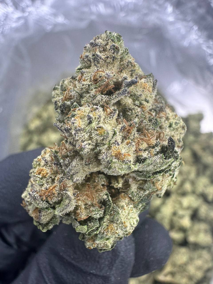 White Widow THCA Flower | 28.69% AAA