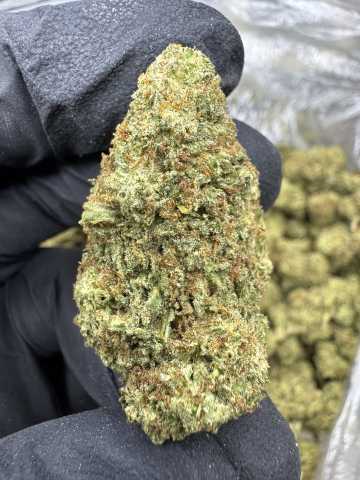 Strawberry Cough THCA Flower | 24.56% TOP SHELF