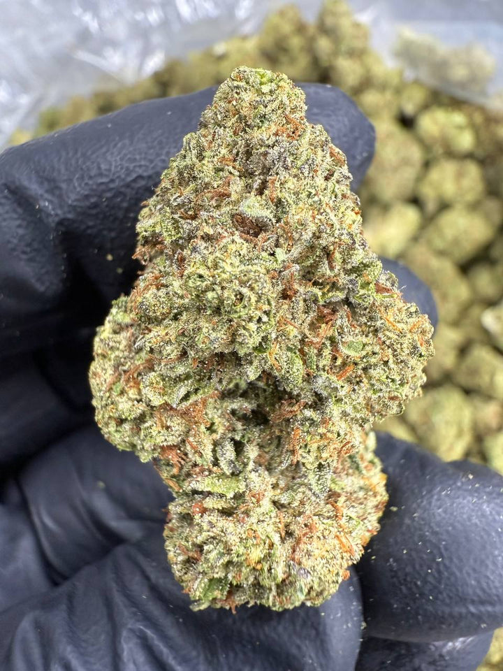 Sour Diesel THCA Flower | 26.49% TOP SHELF