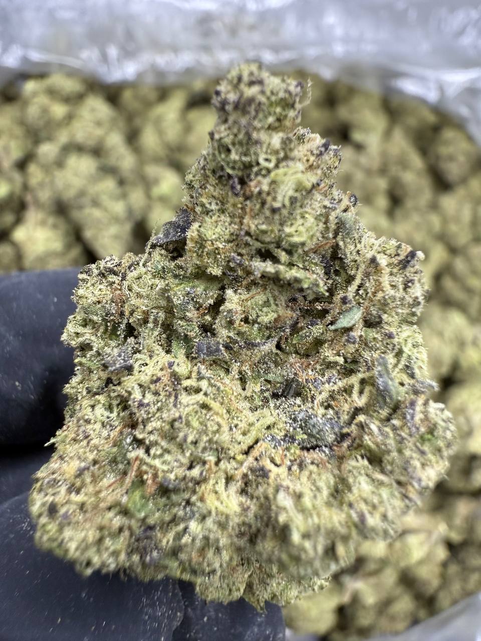 Gush Mintz THCA Flower | 29.68% AA INDOOR