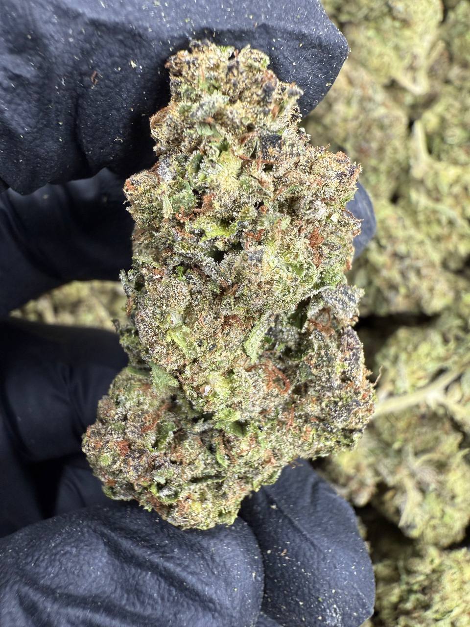 Hash Burger THCA Flower | 24.19% CLASSIC RESERVE