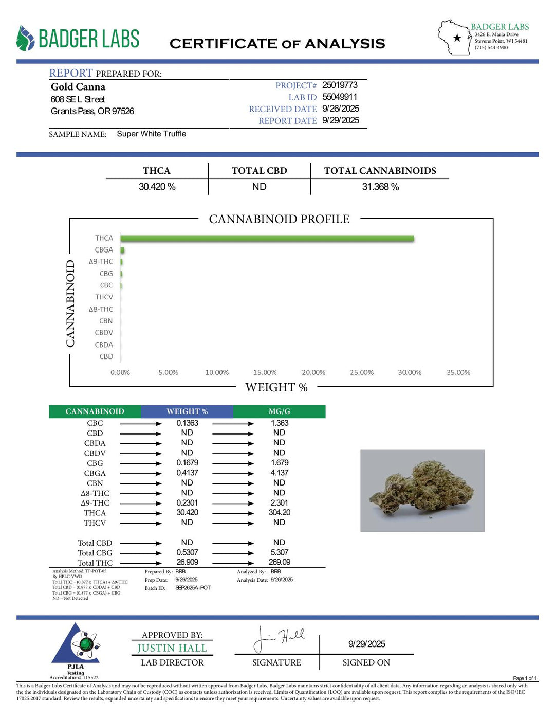 COA PDF (converted to JPEG)