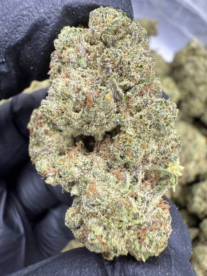 Ice Cream Cake THCA Flower | 32.16% TOP SHELF