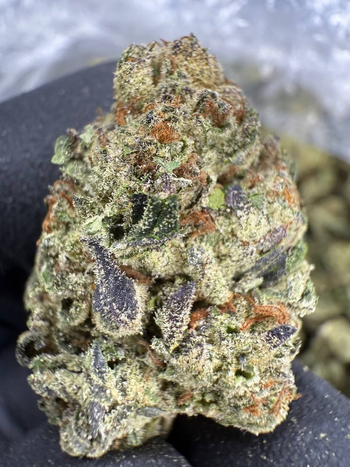 GMO THCA Flower | 31.69% TOP SHELF