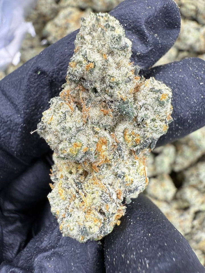 Triple Cake THCA Flower | 31.82% EXOTIC INDOOR