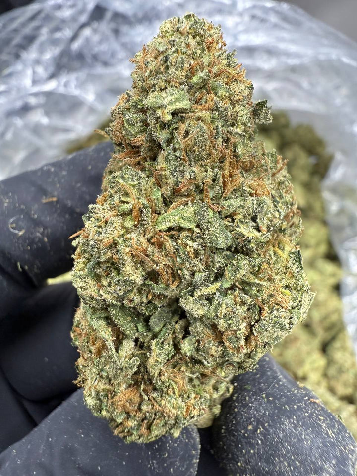 Rainbow Runtz THCA Flower | 26.47% TOP SHELF