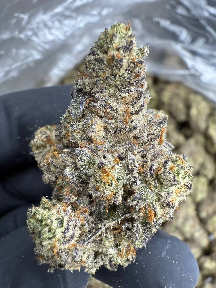 White Chocolate Chip THCA Flower | 27.37% EXOTIC INDOOR